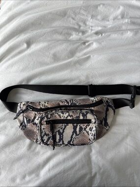 Aritzia bag